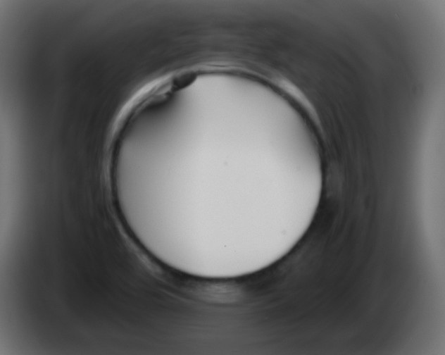 X0000083061464200703022122