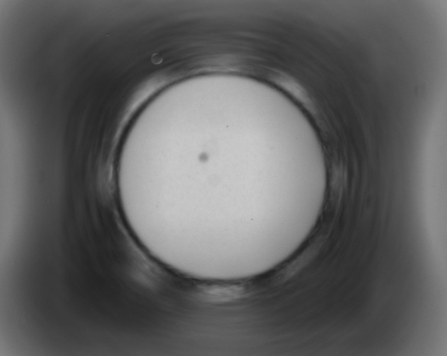 X0000083061466200703022122