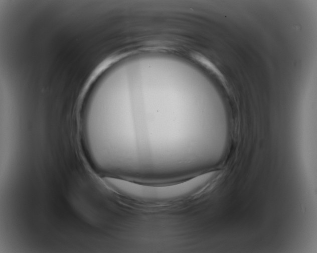 X0000083061467200703022122