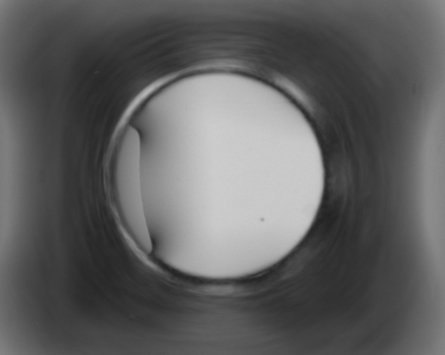 X0000083061468200703022122