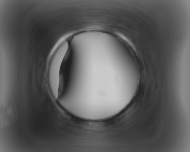 X0000083061469200703022122