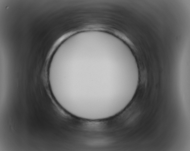 X0000083061470200703022122