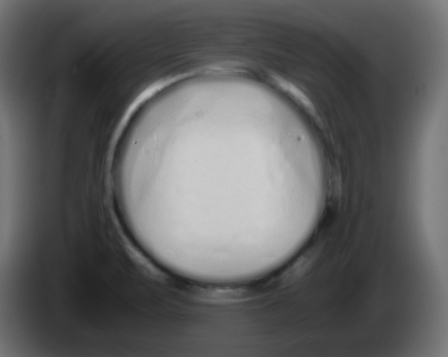 X0000083061471200703022122