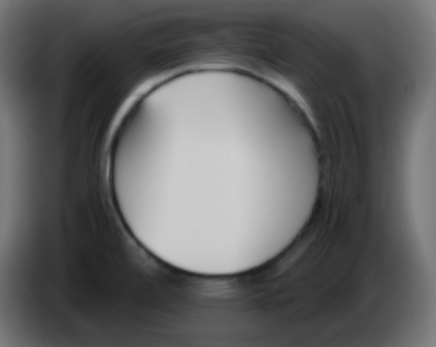 X0000083061472200703022122