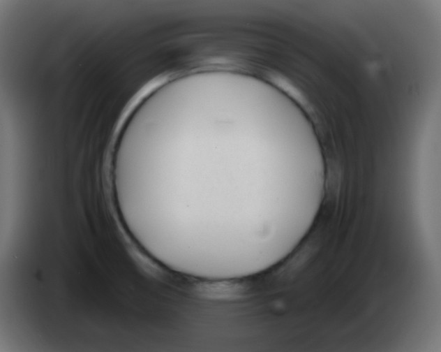 X0000083061474200703022122