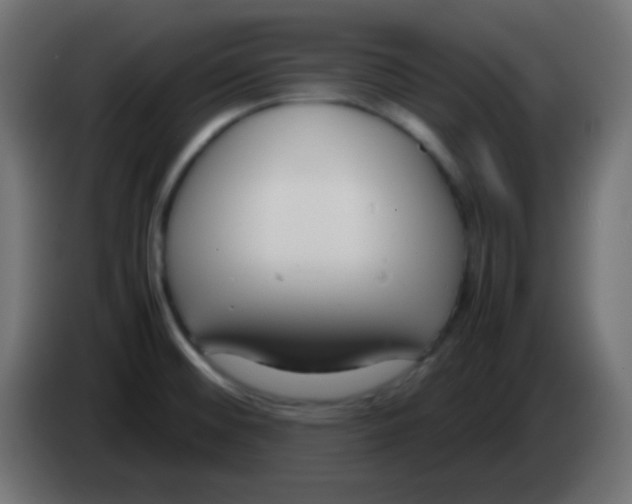 X0000083061476200703022122