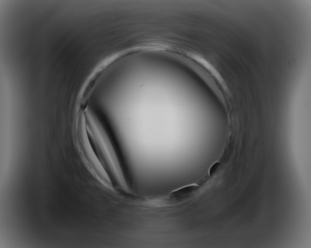 X0000083061477200703022122