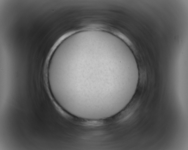 X0000083061478200703022122