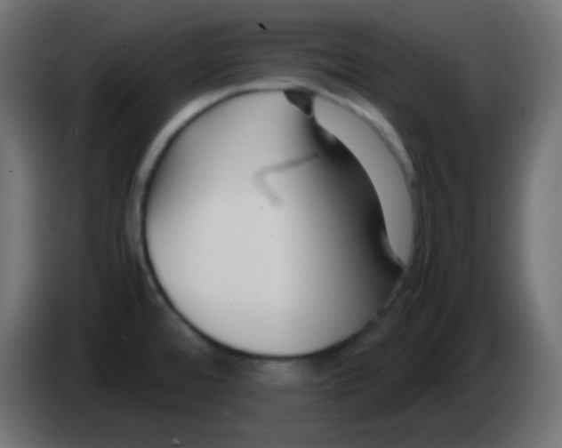 X0000083061480200703022122