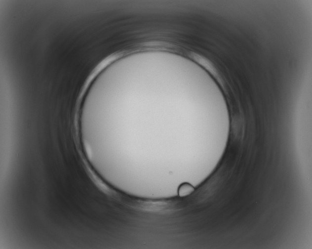 X0000083061482200703022122