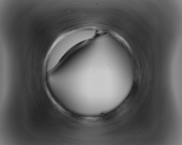 X0000083061483200703022122