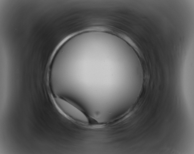 X0000083061484200703022122