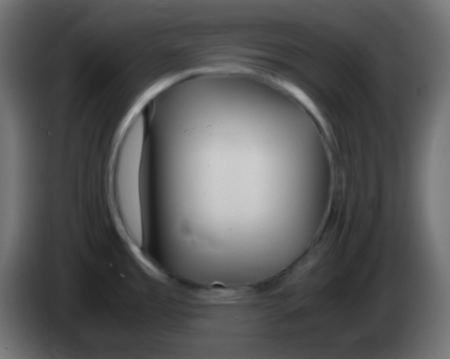 X0000083061485200703022122