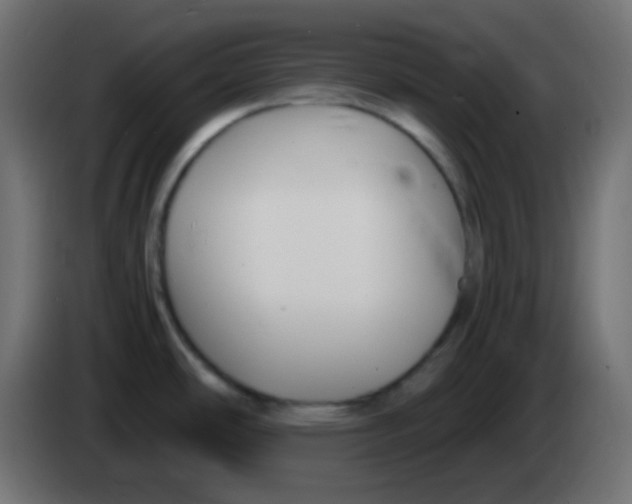 X0000083061486200703022122