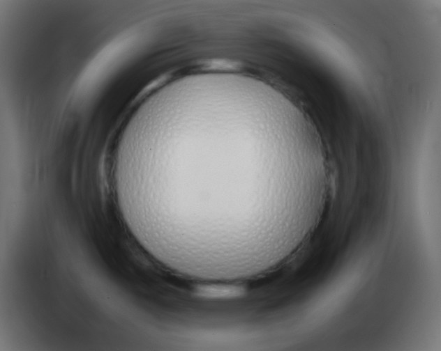 X0000083061487200703022122