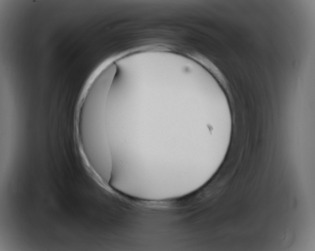 X0000083061488200703022122