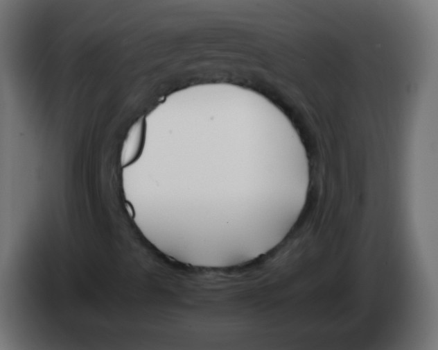 X0000083061489200703022121