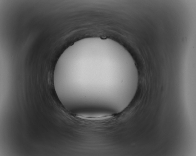 X0000083061490200703022121