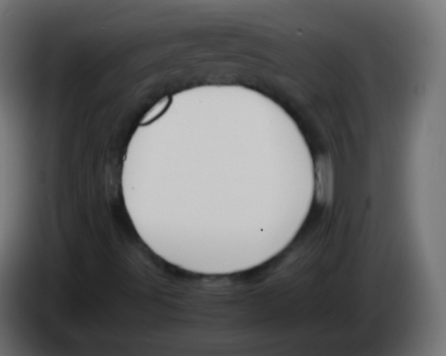 X0000083061491200703022121