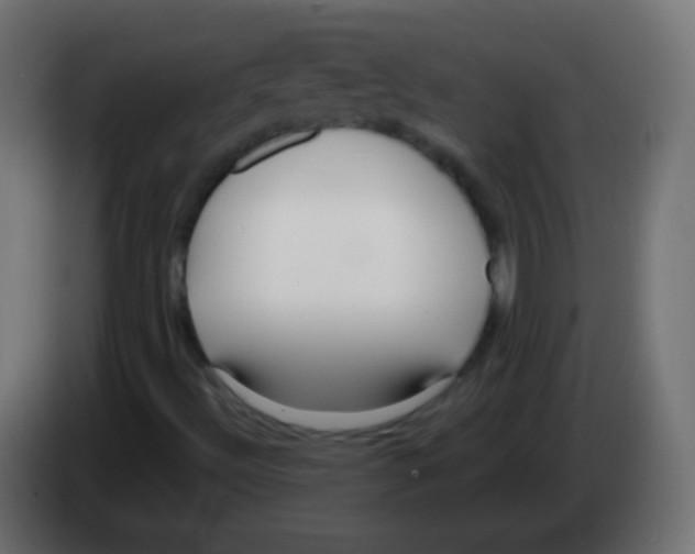 X0000083061492200703022121