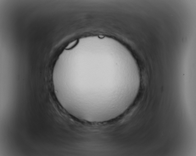 X0000083061494200703022121