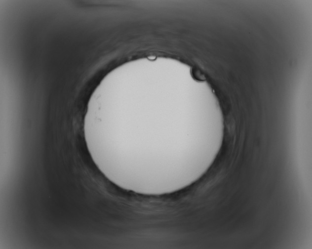 X0000083061495200703022121