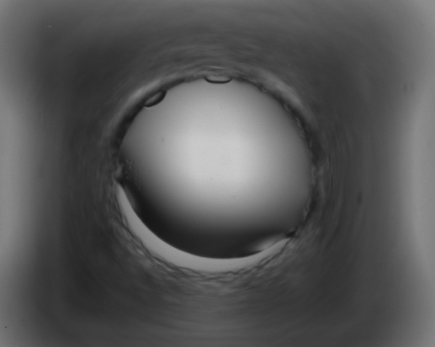 X0000083061496200703022121