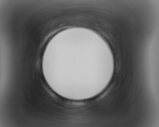 X0000083061498200703022121