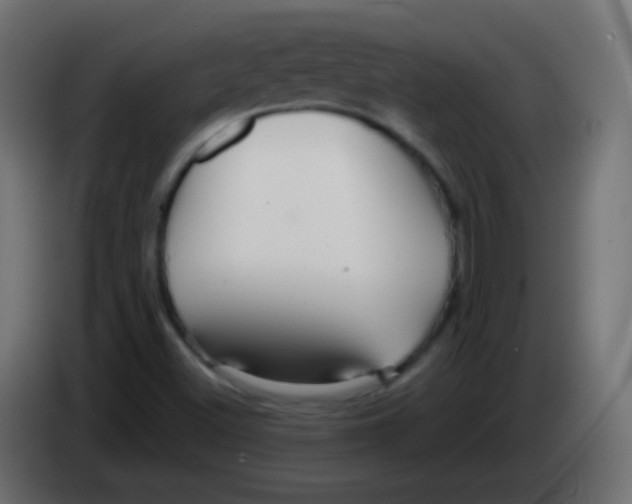 X0000083061500200703022121