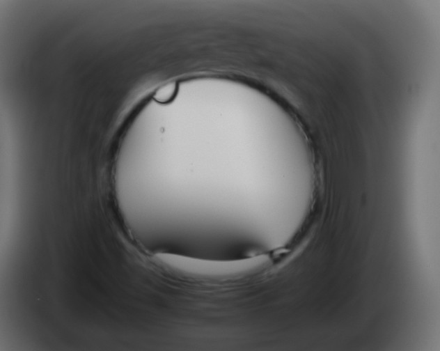 X0000083061501200703022121