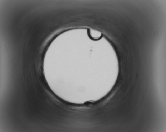 X0000083061502200703022121