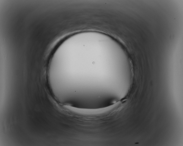 X0000083061503200703022121