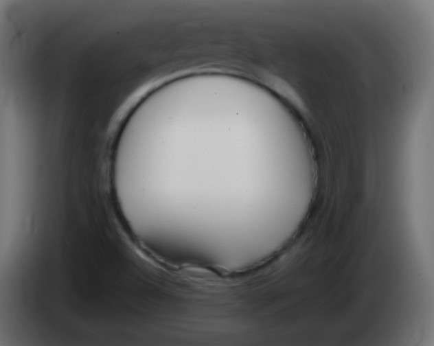 X0000083061504200703022121