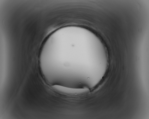 X0000083061505200703022121