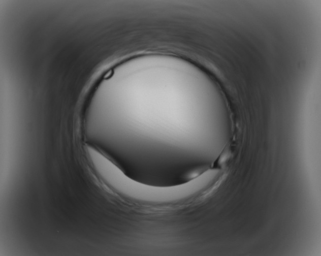 X0000083061506200703022121