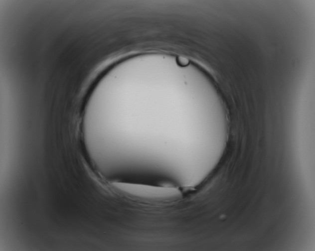 X0000083061507200703022121