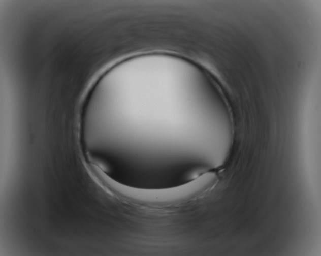 X0000083061508200703022121