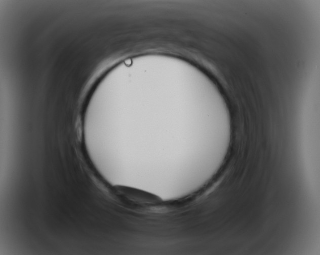 X0000083061509200703022121