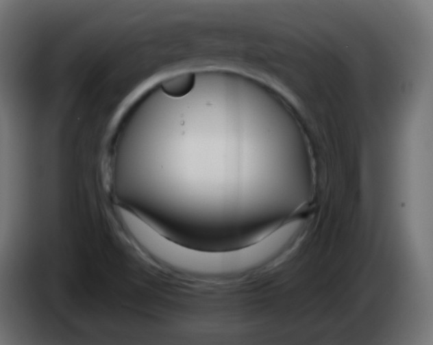 X0000083061510200703022121