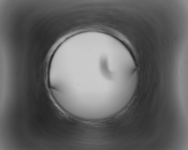 X0000083061512200703022122