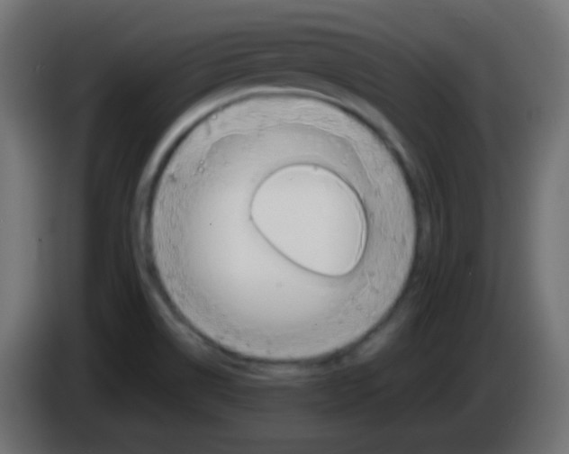 X0000083061514200703022122