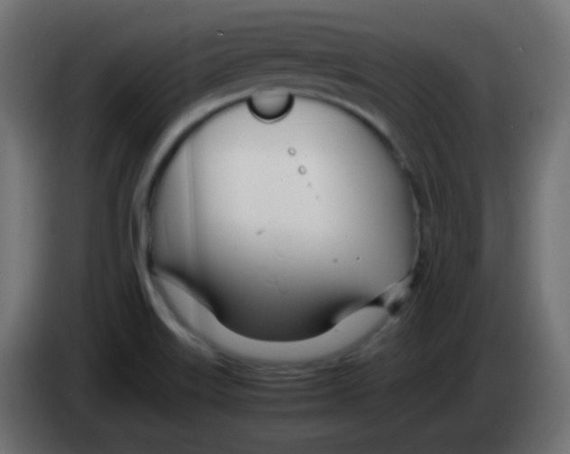 X0000083061515200703022122