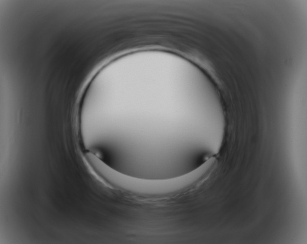 X0000083061516200703022122