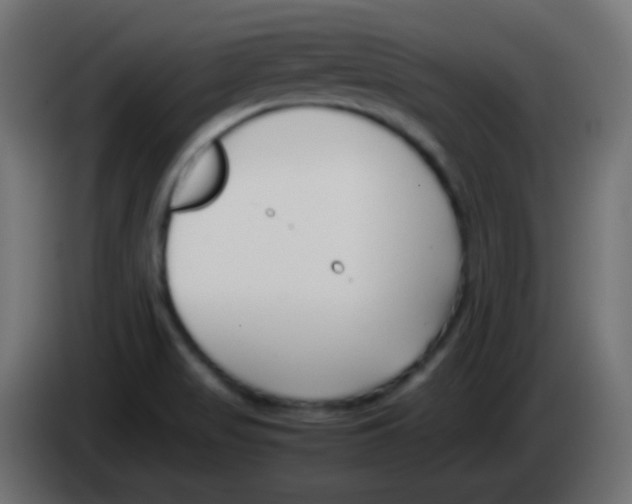 X0000083061517200703022122