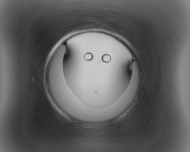 X0000083061518200703022122