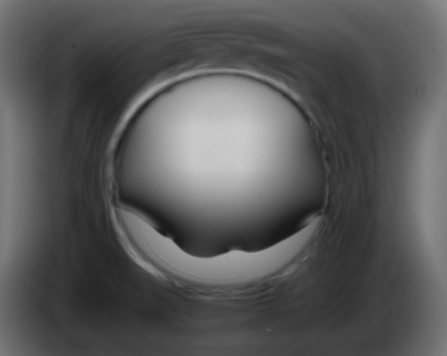 X0000083061519200703022122