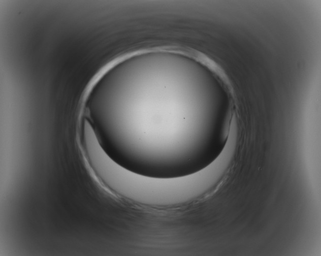 X0000083061520200703022122