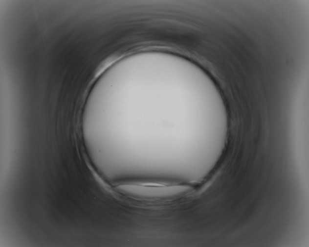 X0000083061521200703022122