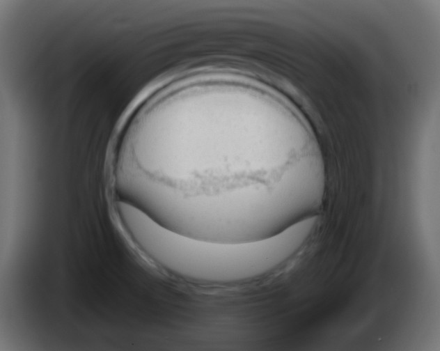 X0000083061522200703022122