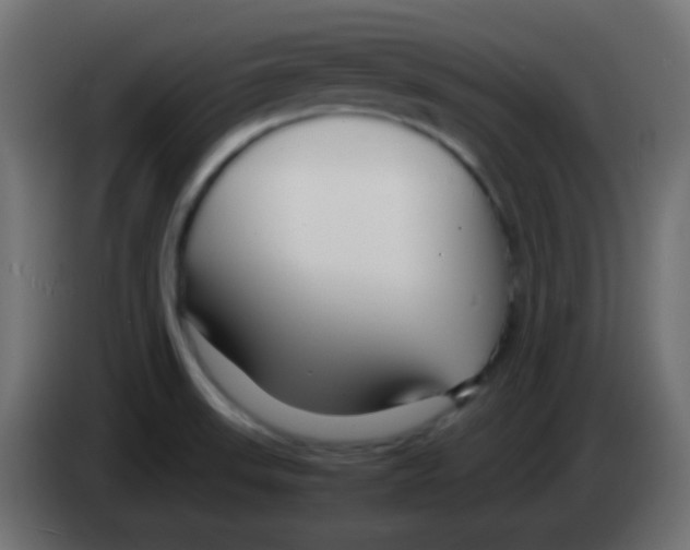 X0000083061523200703022122